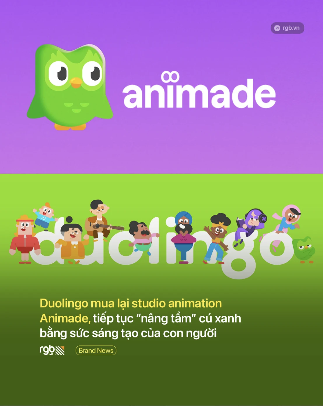 Duolingo mua lại studio animation Animade, tiếp tục đầu tư vào sức sáng tạo của con người để “nâng tầm” chú cú xanh