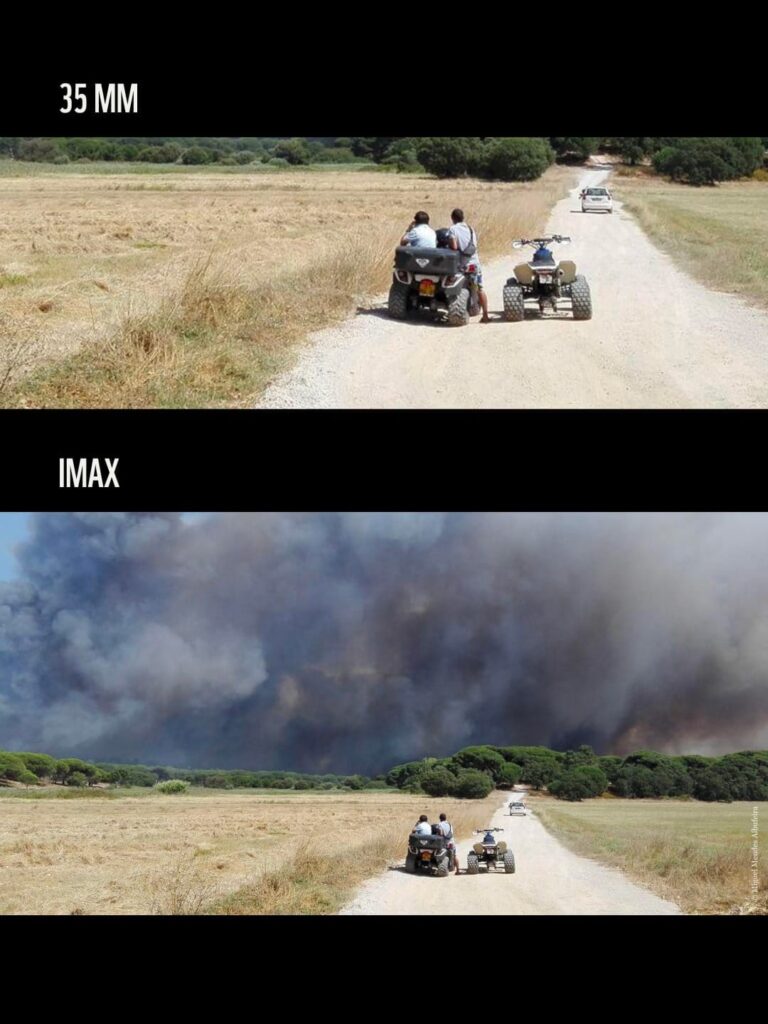 WWF bắt trend IMAX để tạo cú “mở khung hình” đầy ám ảnh về cháy rừng