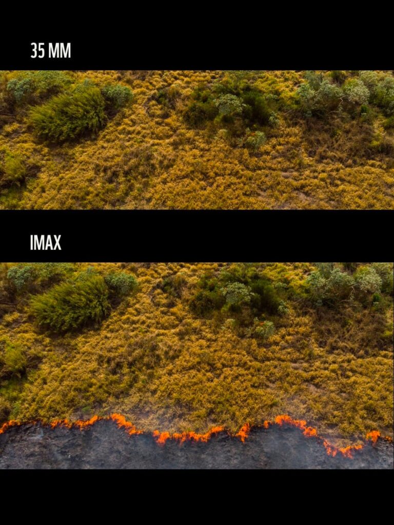 WWF bắt trend IMAX để tạo cú “mở khung hình” đầy ám ảnh về cháy rừng