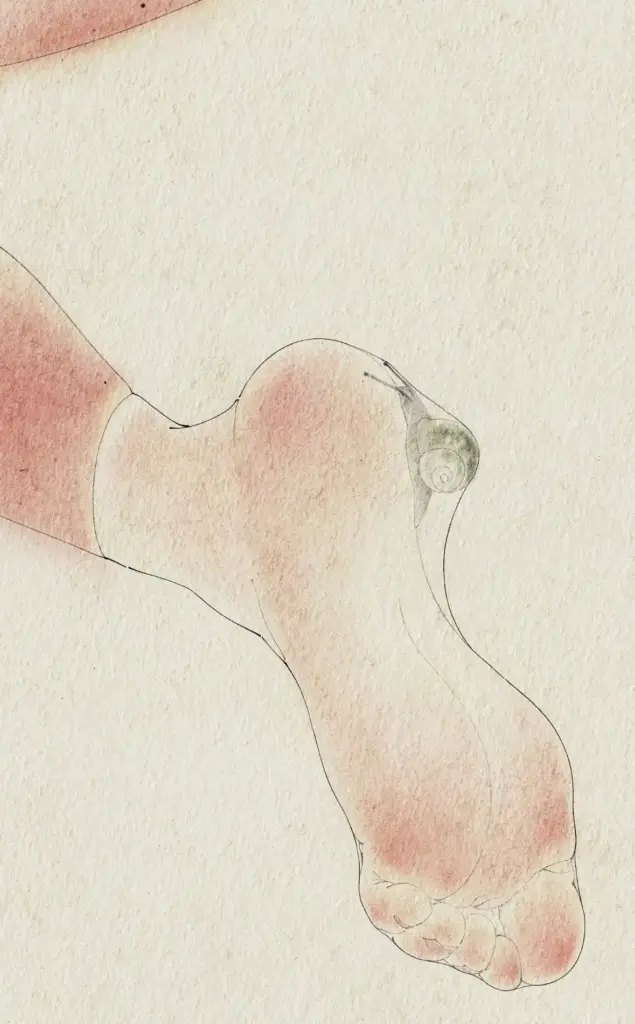 “Không lời để đáp”: Những ẩn dụ thị giác về cảm xúc khó gọi thành lời của hoạ sĩ Wenqi